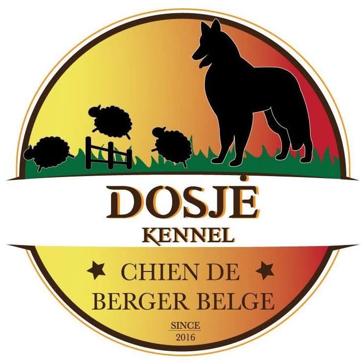 "Dosjė " veislynas Belgų aviganis Terviuerenas