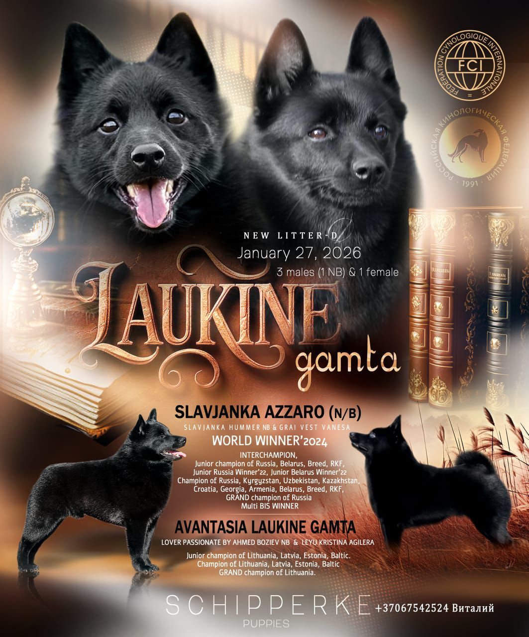 Siūlome šiperkių šuniukus su LKD/FCI dokumentais