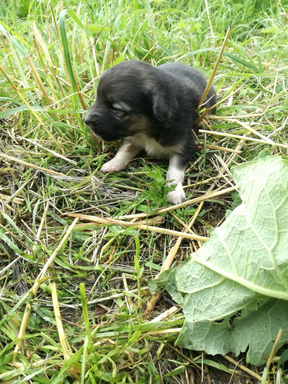 Nuotrauka