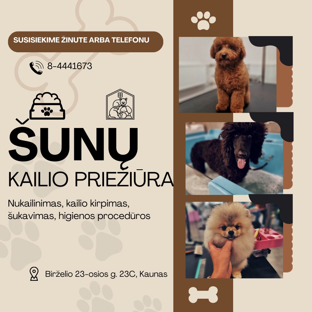 Pas šunų kirpėją Eglę